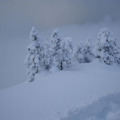 Snow_SST.JPG